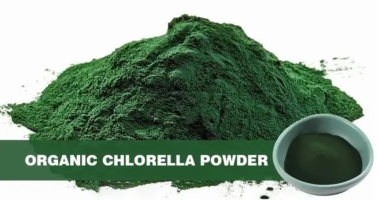 Chlorella organike 100g – Biokosmos